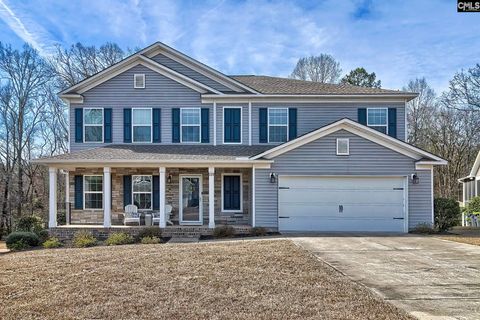 Photo of 335 Saucer Way, Chapin, SC 29036 (MLS # 625996)