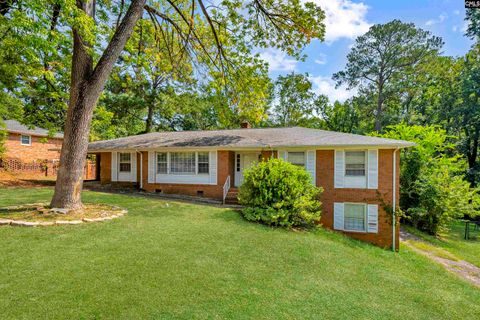 Photo of 1127 Shirlington Road, Columbia, SC 29210 (MLS # 622241)