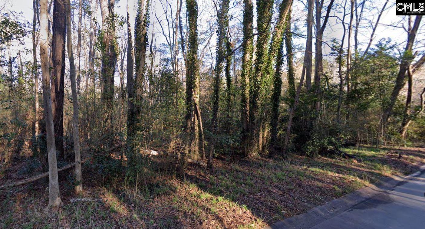 0 Terrace View Drive - Photo 2
