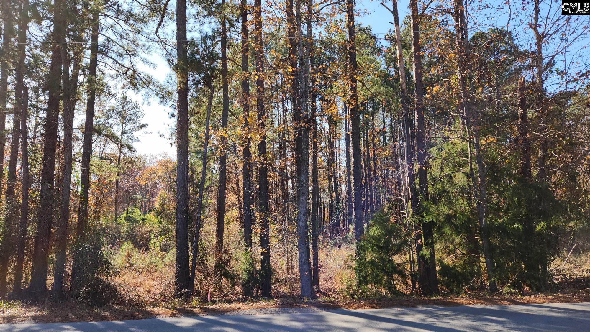 Photo 1 of 1 — 2221 Old Cherokee Road LOT #2, Lexington, SC 29072