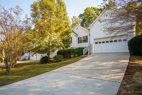 A home in Irmo