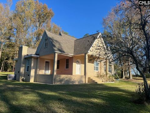 Photo of 172 S Pine Street, Batesburg, SC 29006 (MLS # 621649)