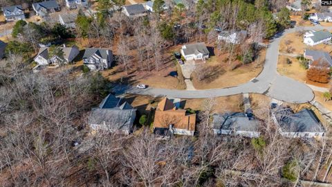 A home in Chapin