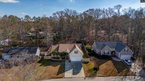 A home in Chapin