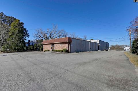 Photo of 225 Summerland Avenue, Batesburg, SC 29006 (MLS # 625135)