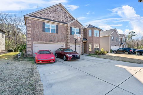 A home in Chapin