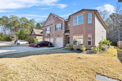 A home in Chapin