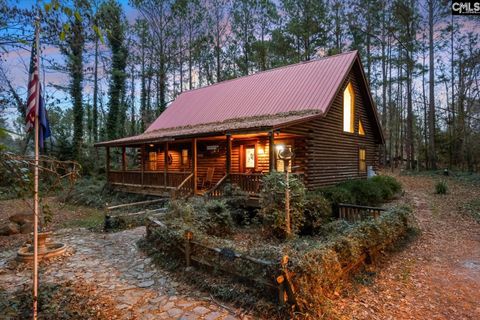 Photo of 1456 Nursery Road, Little Mountain, SC 29075 (MLS # 623056)