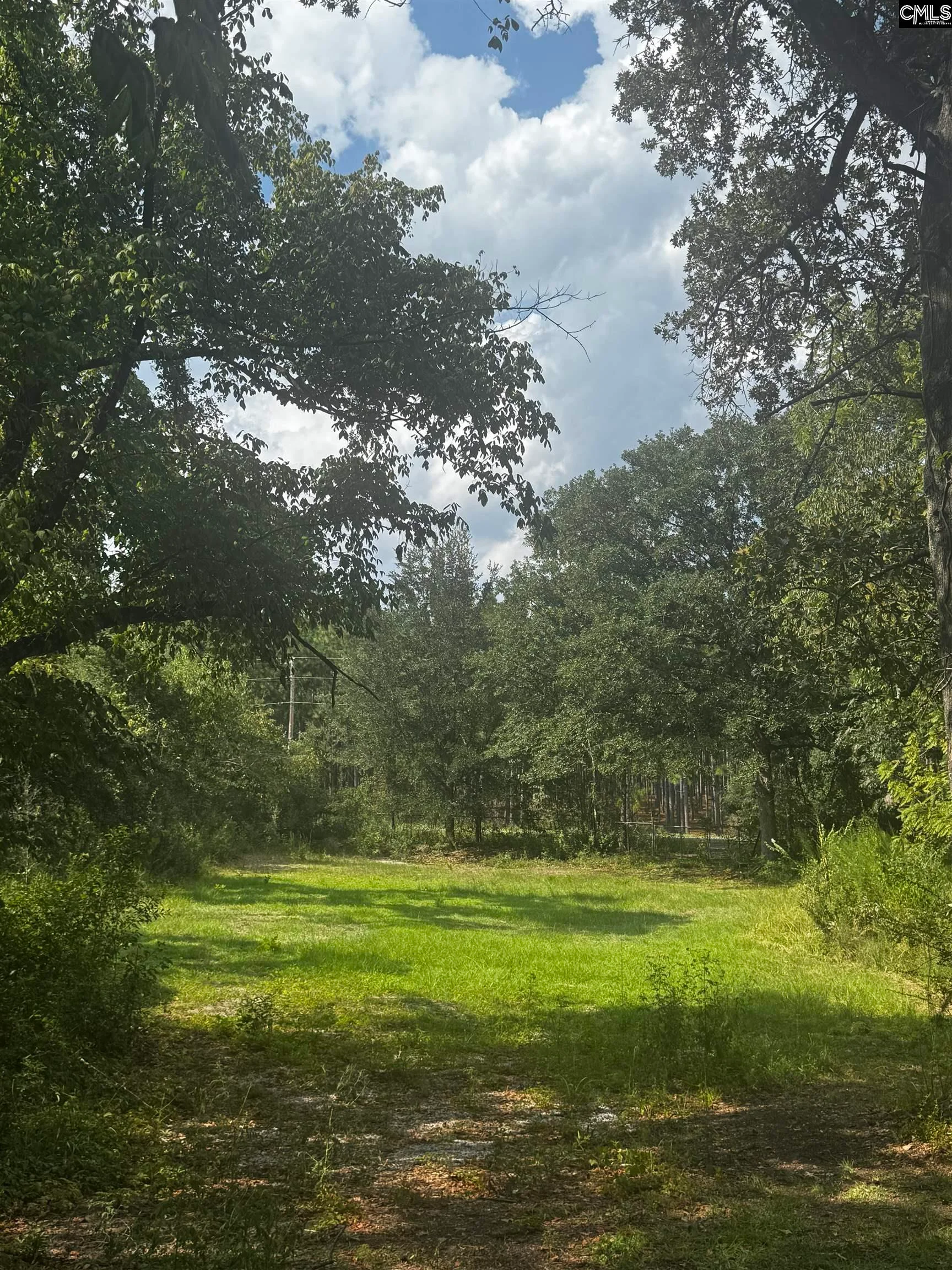 116 Rob Teal Road, Patrick, SC, 29584