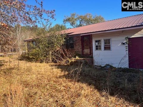 Photo of 2672 Frazier Lane, Orangeburg, SC 29115 (MLS # 625277)
