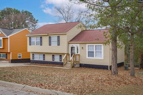 Photo of 204 stockport Road, Columbia, SC 29229 (MLS # 622614)