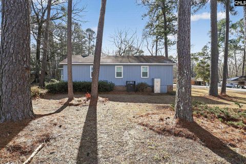 Photo of 108 Snow Lane, Lexington, SC 29073 (MLS # 625832)
