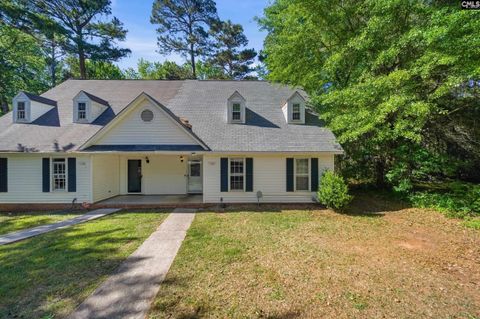 Photo of 164 Thames Valley Court, Irmo, SC 29063 (MLS # 631752)