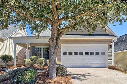 Photo of 524 Gilden Hawke Way, Columbia, SC 29229 (MLS # 620053)