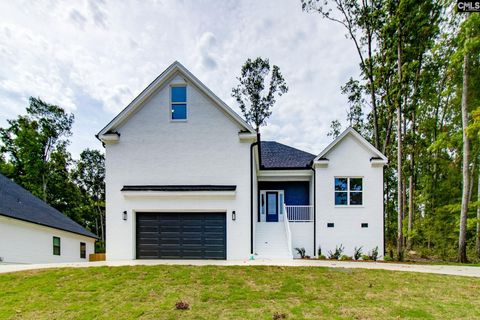 A home in Chapin