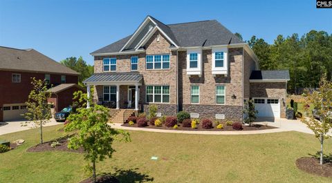 A home in Chapin