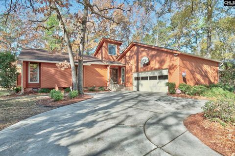 Photo of 5 Tawny Branch Court, Columbia, SC 29212 (MLS # 622338)