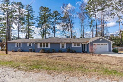 A home in Chapin