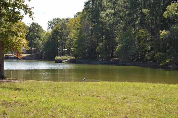 670 GOAT HILL RD, RIDGEWAY, SC 29130 - Image 6f3c3c507bdfecabe5ca1ac6f5867fe2/894625974