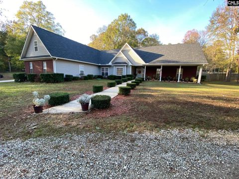 A home in Chapin