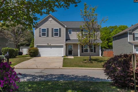 Photo of 392 Eagle Pointe Drive, Chapin, SC 29036 (MLS # 626513)