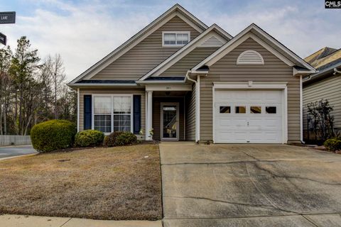 Photo of 301 Baltica Lane, Irmo, SC 29063 (MLS # 628298)