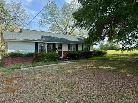 60 Sarah Road, Blackville, SC 29817 - MLS#: 599630
