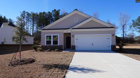 Photo of 231 Caballeros Trail, Prosperity, SC 29127 (MLS # 619629)