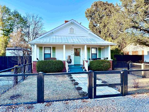 Photo of 1010 Augusta Street, West Columbia, SC 29169 (MLS # 627048)