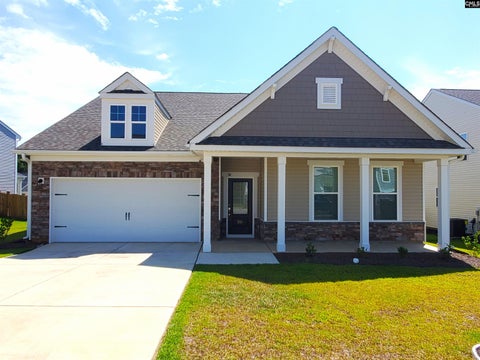 Photo of 351 Chapin Place Way, Chapin, SC 29036 (MLS # 641942)