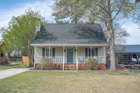 Photo of 152 Toucan Way, Lexington, SC 29073 (MLS # 631423)