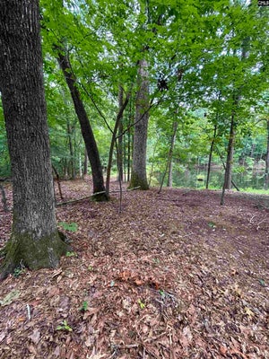 PINEWOOD DR, CHAPIN, SC 29036 - Image 717fde806c8325e6ad928d9f80f2e7a7/3143388043