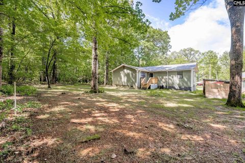 A home in Chapin