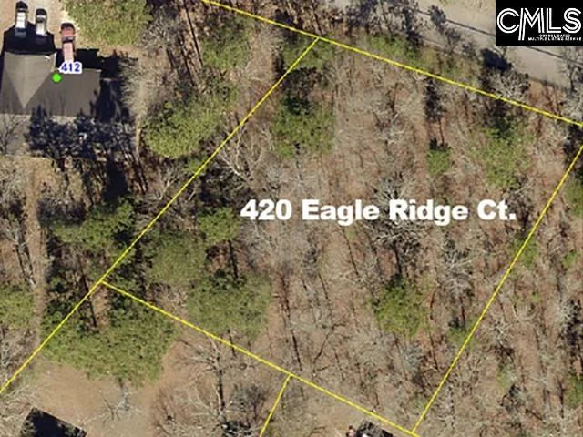 420 Eagle Ridge Court
