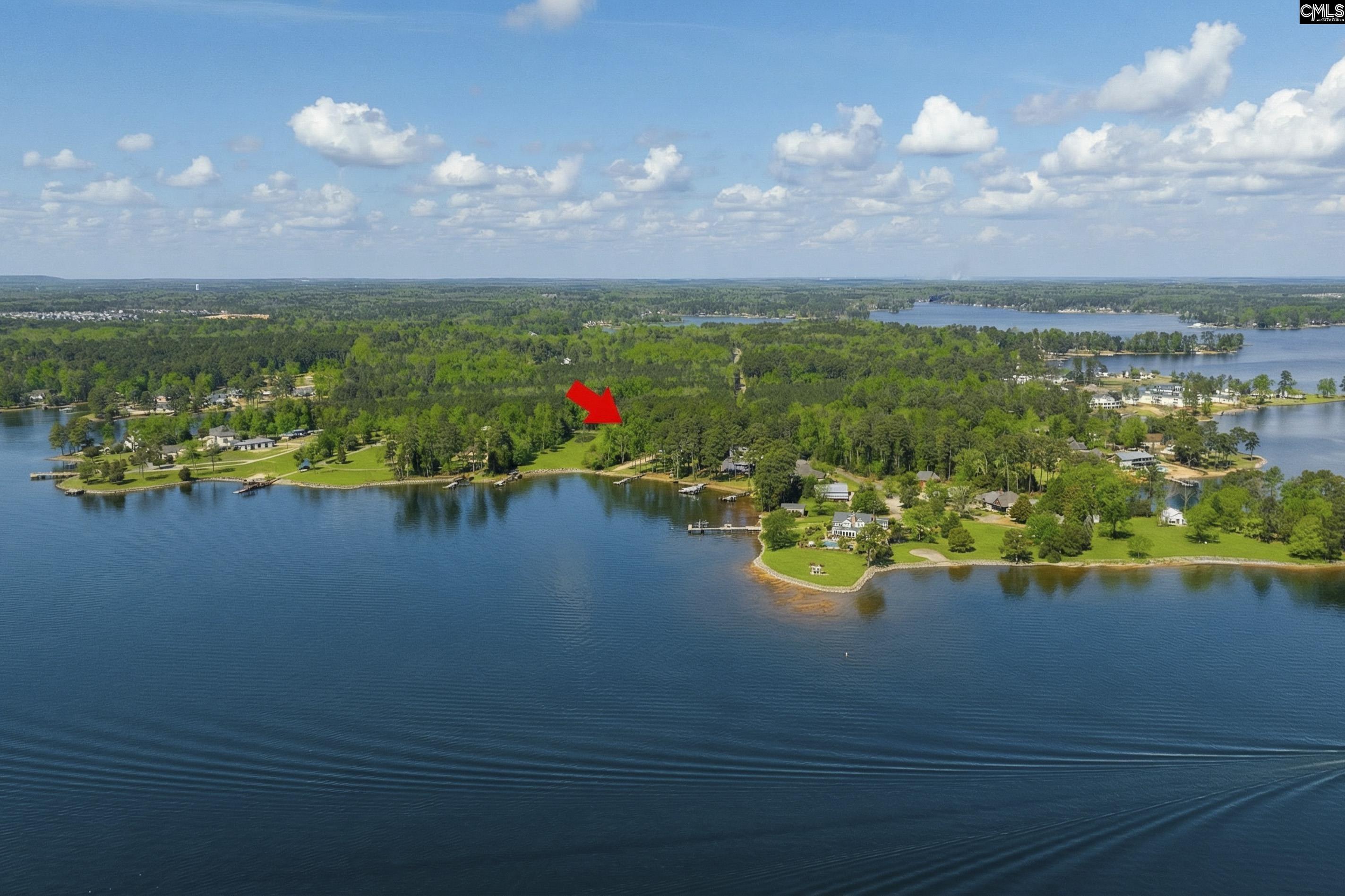 Chapin, South Carolina, 29036, United States, 5 Bedrooms Bedrooms, ,6 BathroomsBathrooms,Residential,Active,2032888