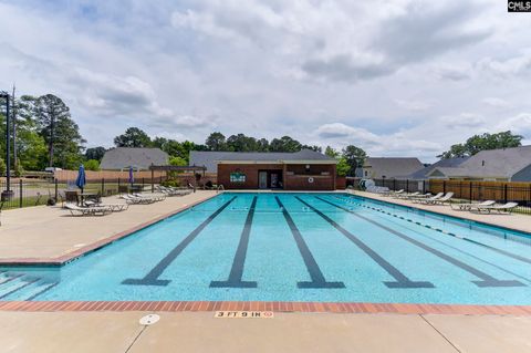 A home in Chapin