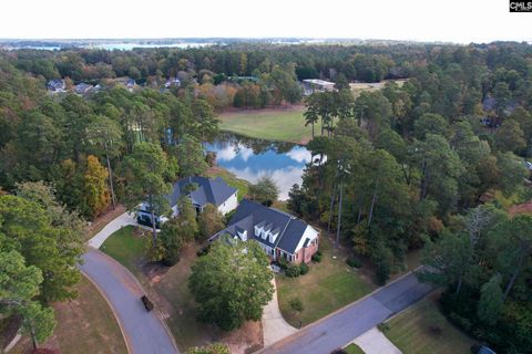 A home in Chapin