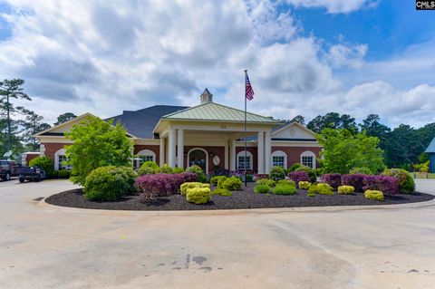 A home in Chapin