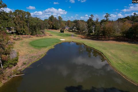 A home in Chapin