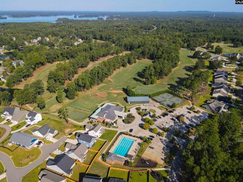 A home in Chapin