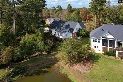 A home in Chapin