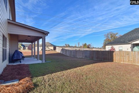 A home in Chapin