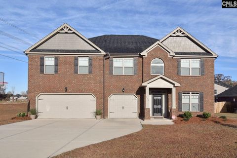 A home in Chapin