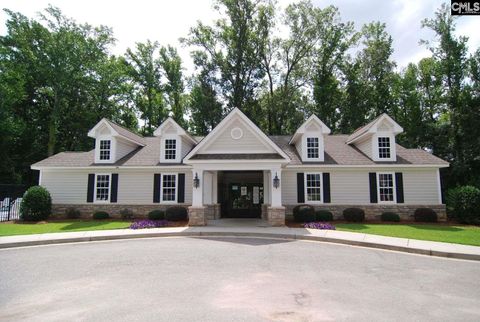 A home in Chapin