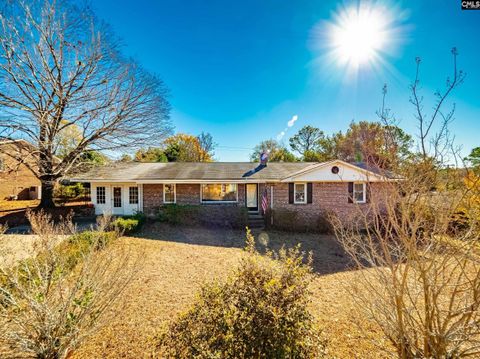 Photo of 7444 Parkview Drive, Columbia, SC 29223 (MLS # 623423)