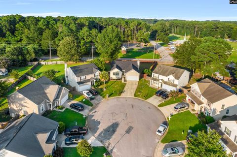 A home in Chapin