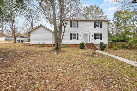 Photo of 407 Chadford Road, Irmo, SC 29063 (MLS # 622869)