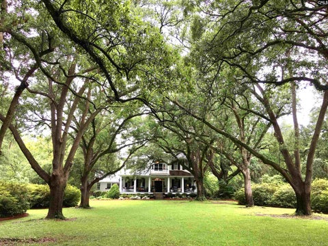 Photo of 5209 Columbia Road, Orangeburg, SC 29118 (MLS # 639829)
