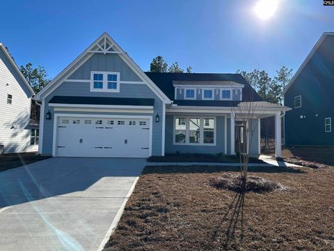 Photo of 342 Rising Stream Way, Chapin, SC 29036 (MLS # 623586)