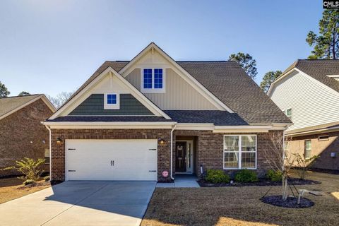 Photo of 150 Backspin Drive, Elgin, SC 29045 (MLS # 613520)
